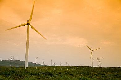 《海贼王 Bounty Rush》Steam页面上线 年内发售